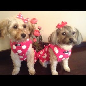 Meet your Posher, Sharon